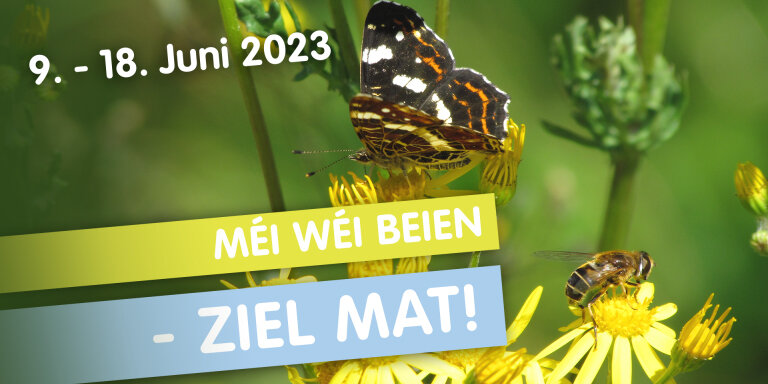 Aktioun Insektenzielen: Méi wéi Beien! Ziel mat!