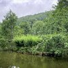 E Fëschweier op der Zowaasch | © Maurice Molitor