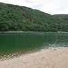 Bloalgen am Stau