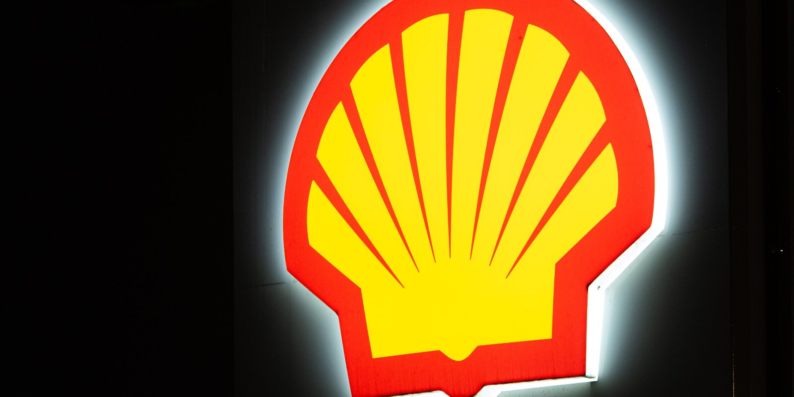 Shell | © picture alliance/dpa | Hannes P Albert