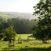 Bongerten - méi wéi nëmme Beem | © Jo Diseviscourt