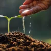 Biodiversitéitkris och bei Notzplanzen | © Bigstock