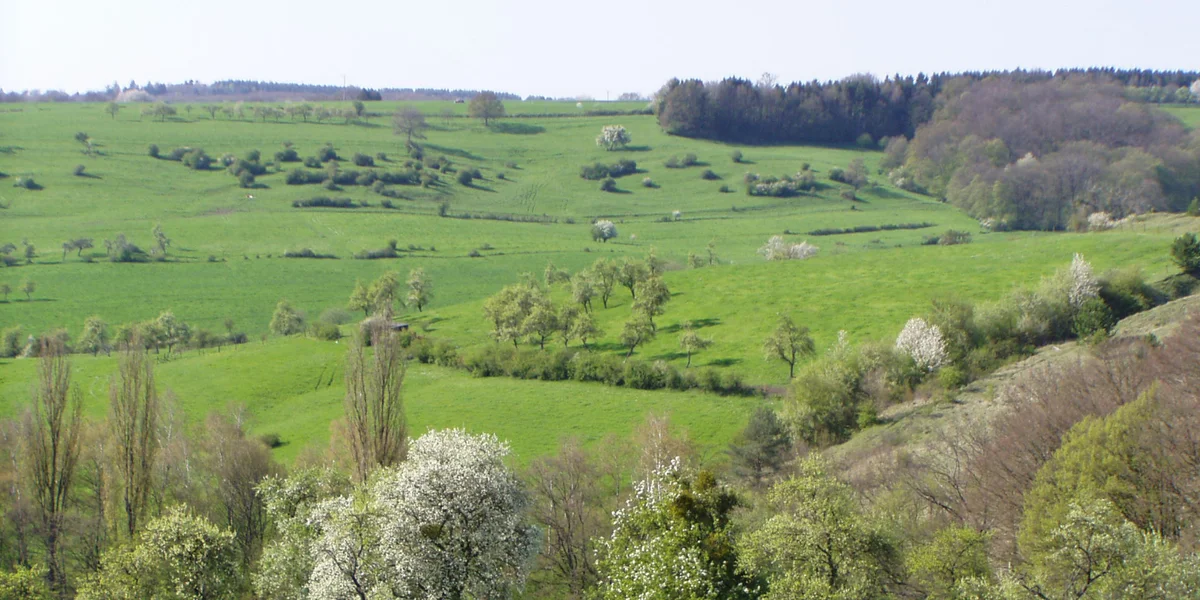 natur&ëmwelt: Reform vum Naturschutzgesetz stellt eng Gefor fir d'Natur duer