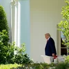 100 Deeg Donald Trump: Ee verfassungsrechtleche Bilan