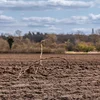 Klima-Adaptatiounsplang: Lëtzebuerg op déi néi Realitéite virbereeden | © picture alliance/dpa | Markus Scholz