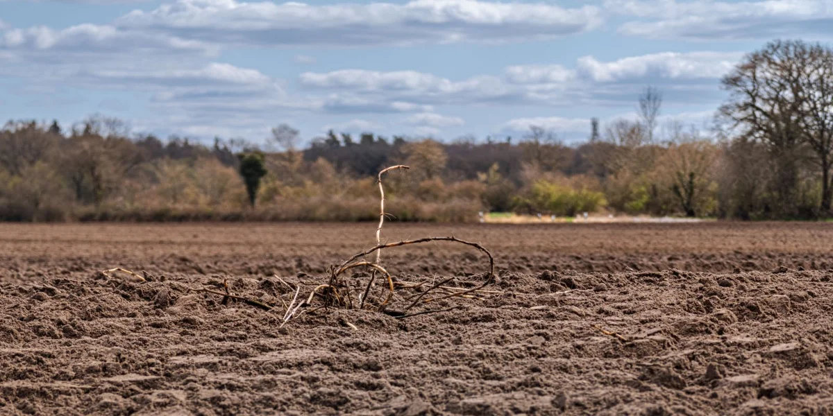 Aner Länner passe sech dem Klimawandel un: Lëtzebuerg soll méi solidaresch ginn  | © picture alliance/dpa | Markus Scholz