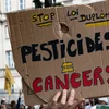 Frankräich: Petitioun géint d’Loi Duplomb | © picture alliance / NurPhoto | Jerome Gilles