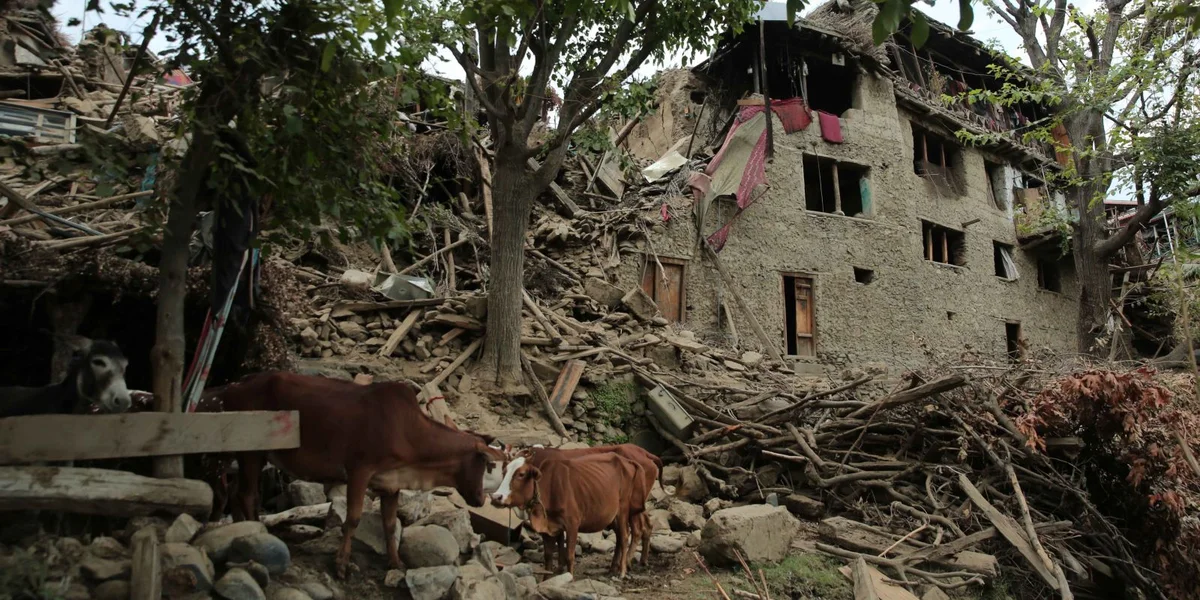 © EPA/SAMIULLAH POPAL