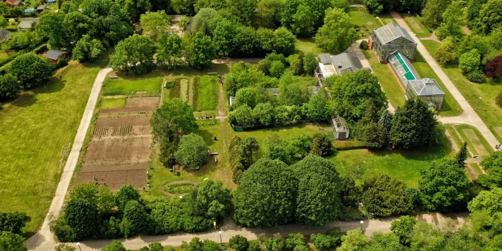 Ginn et genuch Felder fir jiddereen ze ernären? | © Weltacker Berlin