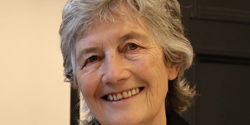 © Houses of the Oireachtas from Ireland