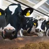 Prolek-President Vic Wirtz confirméiert de Wiessel vu 50 Mëllechbauere bei d'Luxlait | © Adobe Stock