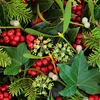 De Mëspel: Zauberpflanz oder Gefor fir d'Beem? | © Bigstock
