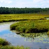Wetland day - D’Fiichtgebitter zu Lëtzebuerg erhalen