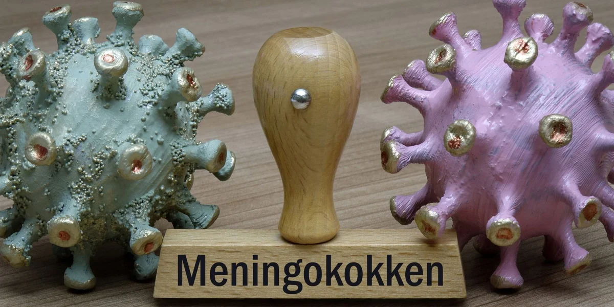 © picture alliance / ZB | Sascha Steinach