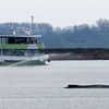De Buckelwal an der Ostsee soll elo awer fort transportéiert ginn | © picture alliance/dpa | Bernd Wüstneck