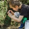 City Nature Challenge: Iwwer 1000 verschidden Aarte goufen identifizéiert | © City of Overland Park, Kansas Government  
