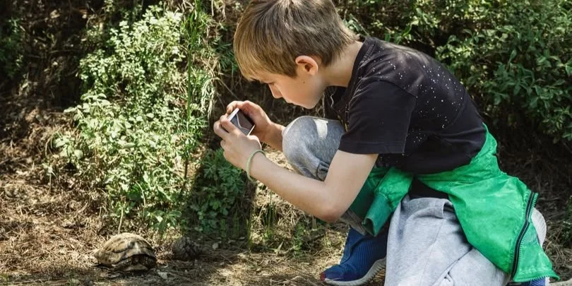 City Nature Challenge: Iwwer 1000 verschidden Aarte goufen identifizéiert | © City of Overland Park, Kansas Government  