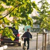 Unanimitéit fir méi Gréngs | © Adobe Stock