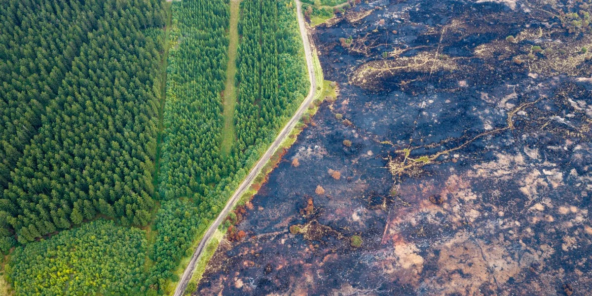 Belsch Autoritéite roden dovun of nees zeréck an den Héije Venn ze goen | © picture alliance/dpa | Christoph Reichwein