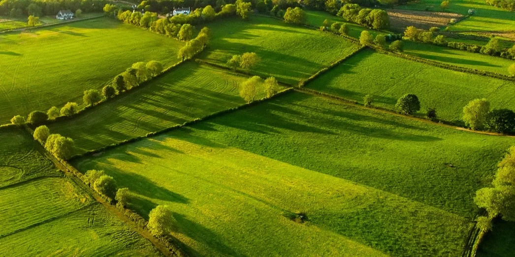 Hecken a Beem an eiser Landschaft : Méi wéi just en Eyecatcher | © Bigstock