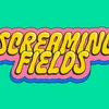 Screaming Fields: Am Gespréich mam Rapper Skrepy an der Emeraude Stone