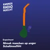 Musek maachen op enger Schalimosflütt