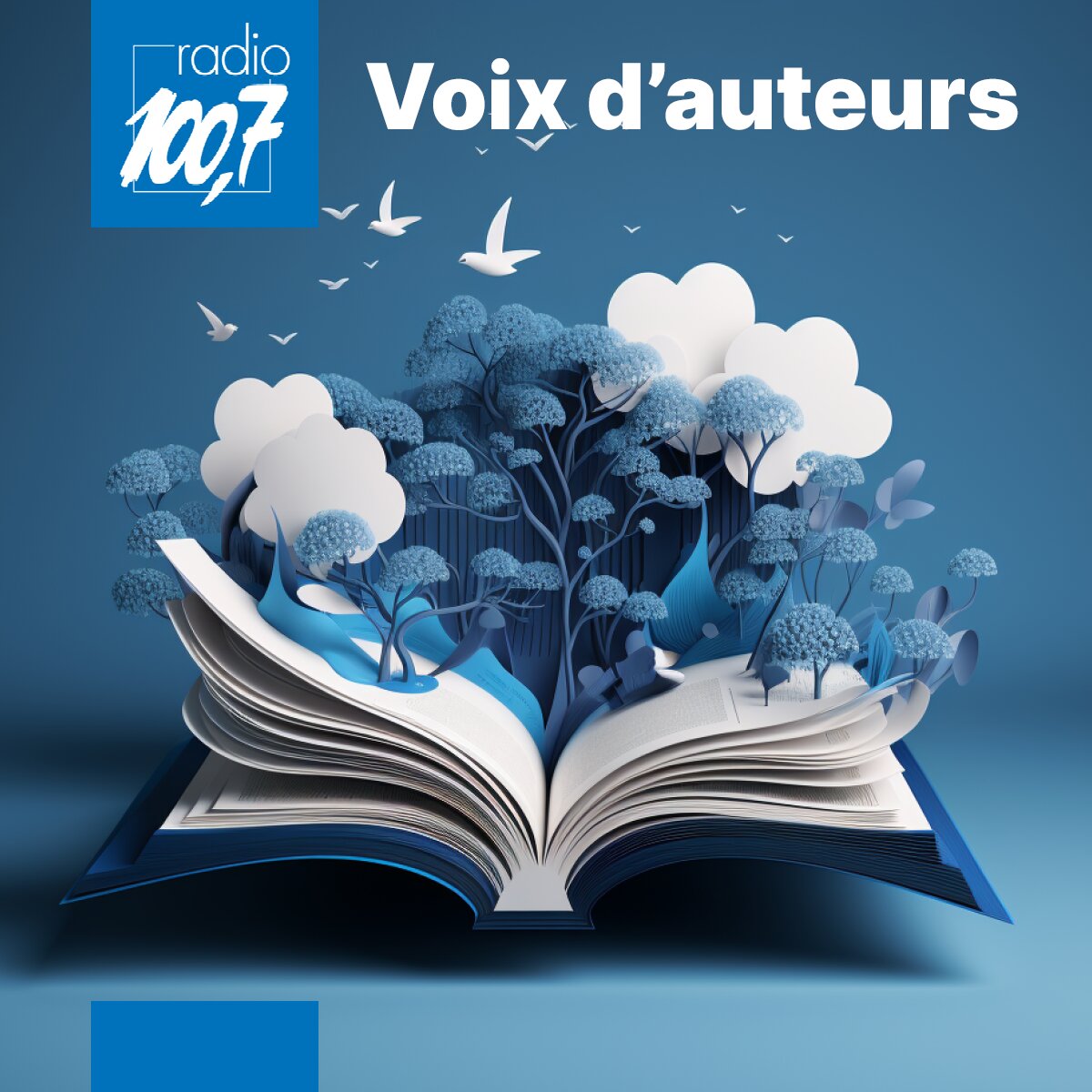 Voix d'auteurs