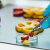 Le Laboratoire d’analyses sensorielles de l’EHTL | © astropix / Bigstock