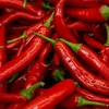 Sinn hot Chilis och Fatburner?