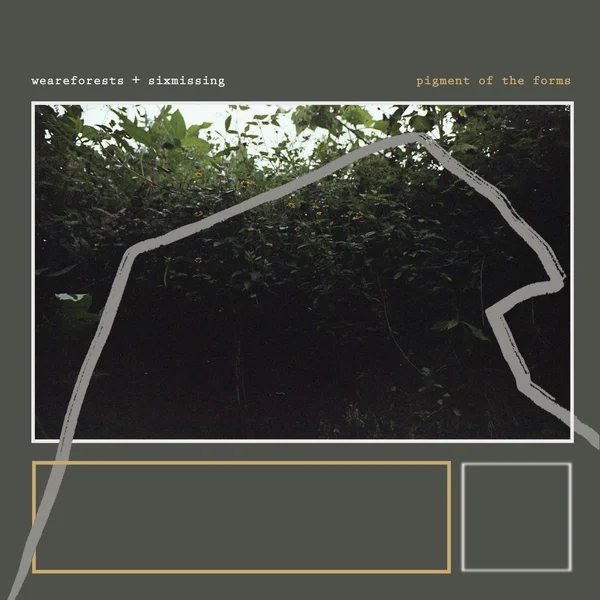 Highest Form (roygbiv)