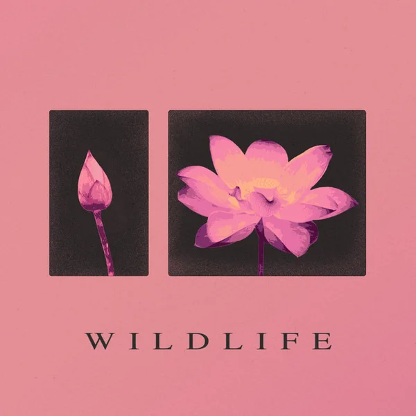 Wildlife