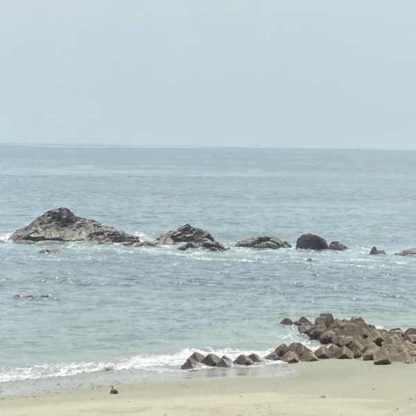 Back To Sea