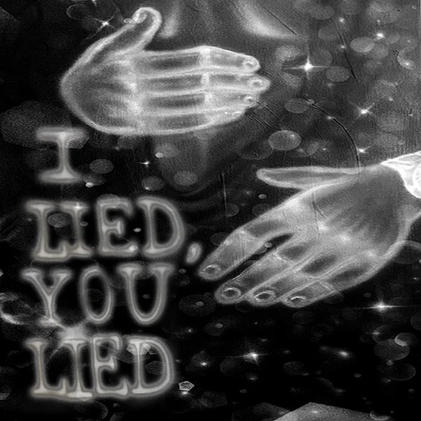 I Lied, You Lied