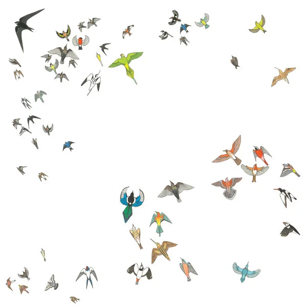 Murmuration