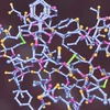Eng Woch laang faaschten - Physik am Kierper | © Dr_Microbe