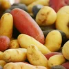 Eng ënnerschätzte Knoll, déi et a sech huet | © Bigstock