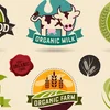 Bio Produkter, Genoss ouni schlecht Gewëssen? | © Bigstock