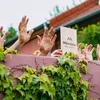 D’Mëllerdaller Produzenten gestalten zesummen hir Zukunft. | © LEADER
