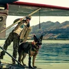 Filmkritik: "Heart of the beast" | © Paramount Pictures