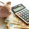 Zu Lëtzebuerg ginn ëmmer manner Mammerenten ausbezuelt
