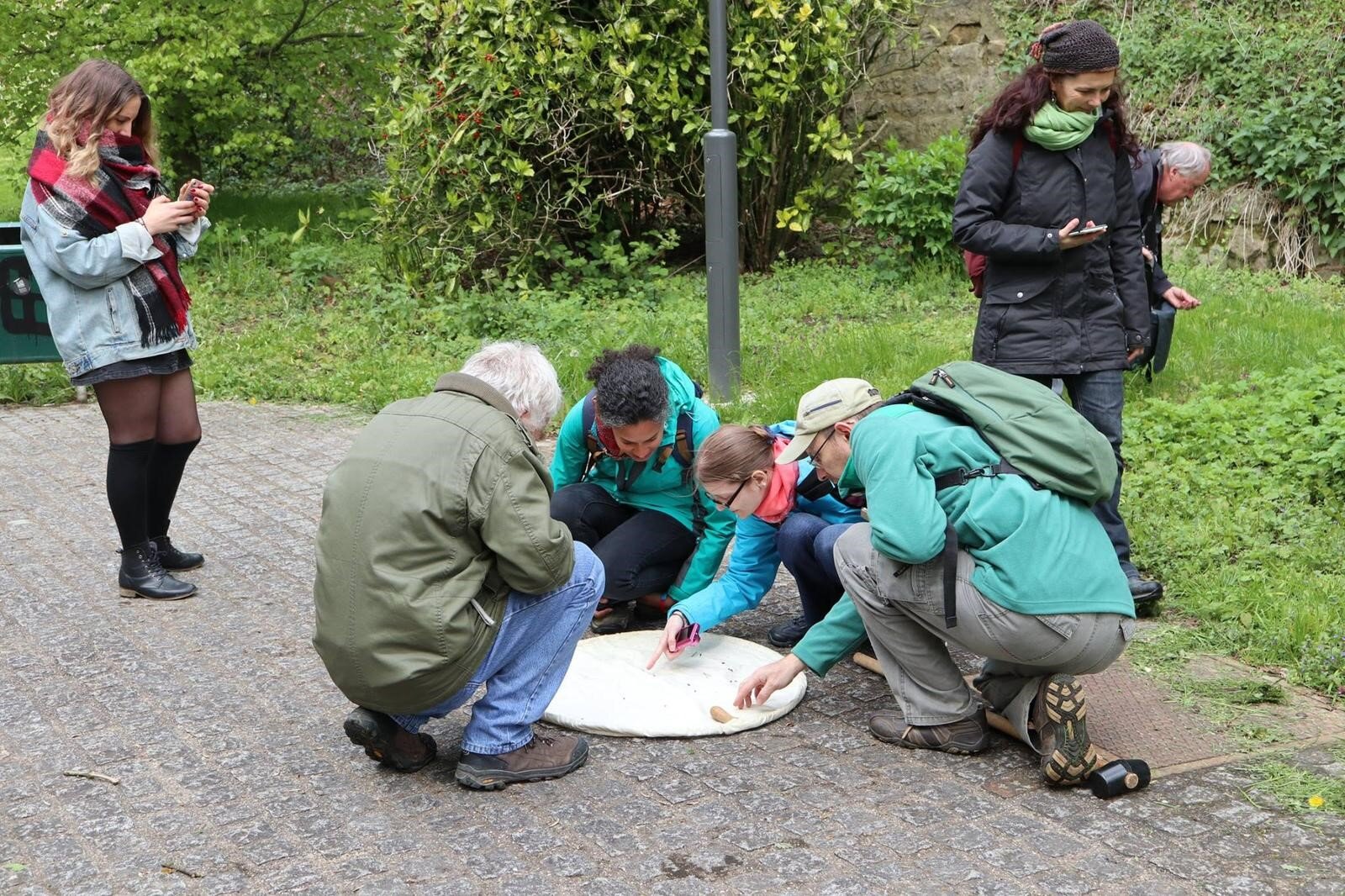 Eraus an d'Natur an dann observéieren