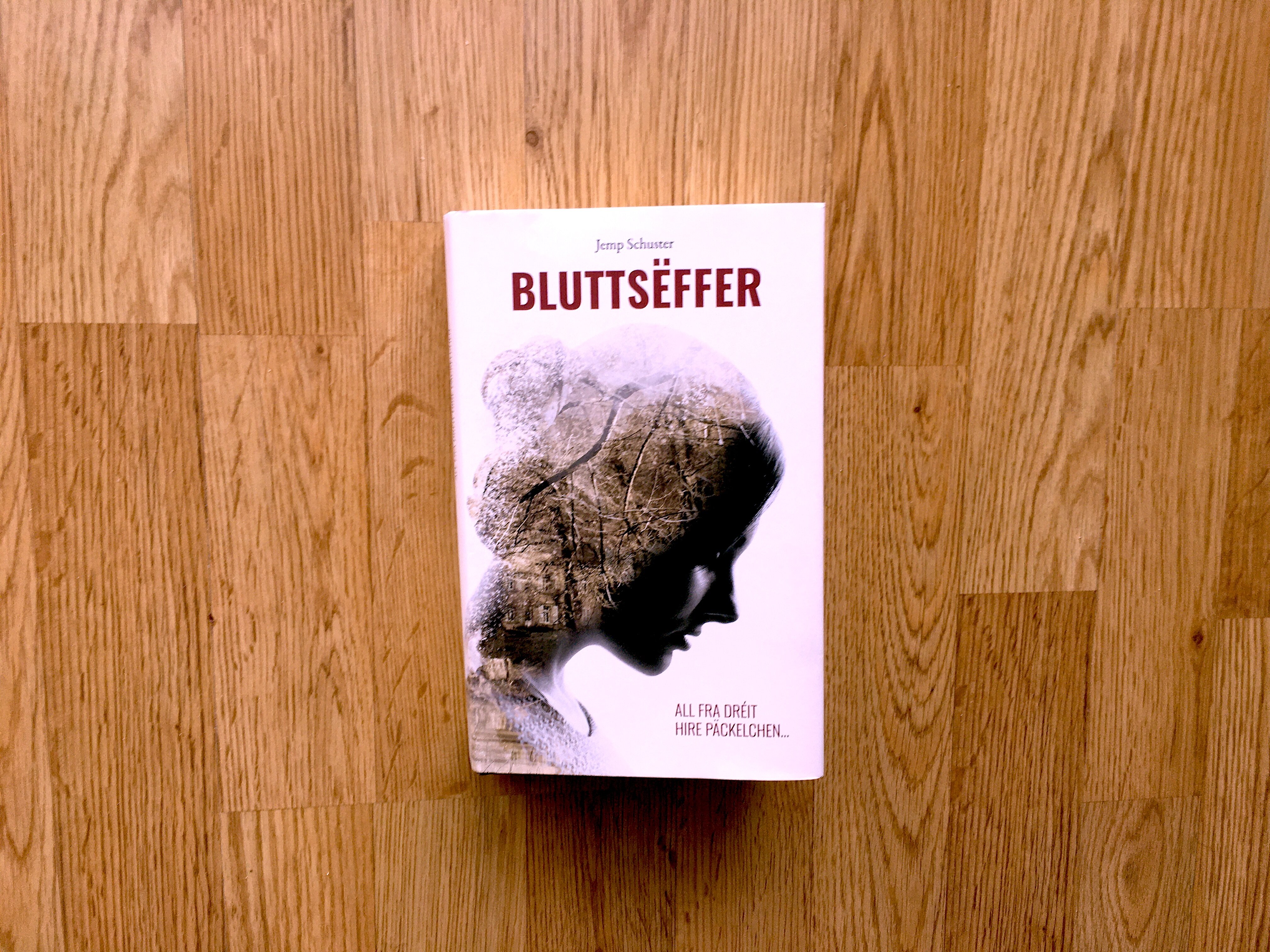 Buchkritik: Jemp Schuster - ''Bluttsëffer''