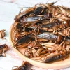 Insekten a Larven als Liewensmëttel: Potential fir d'Zukunft?