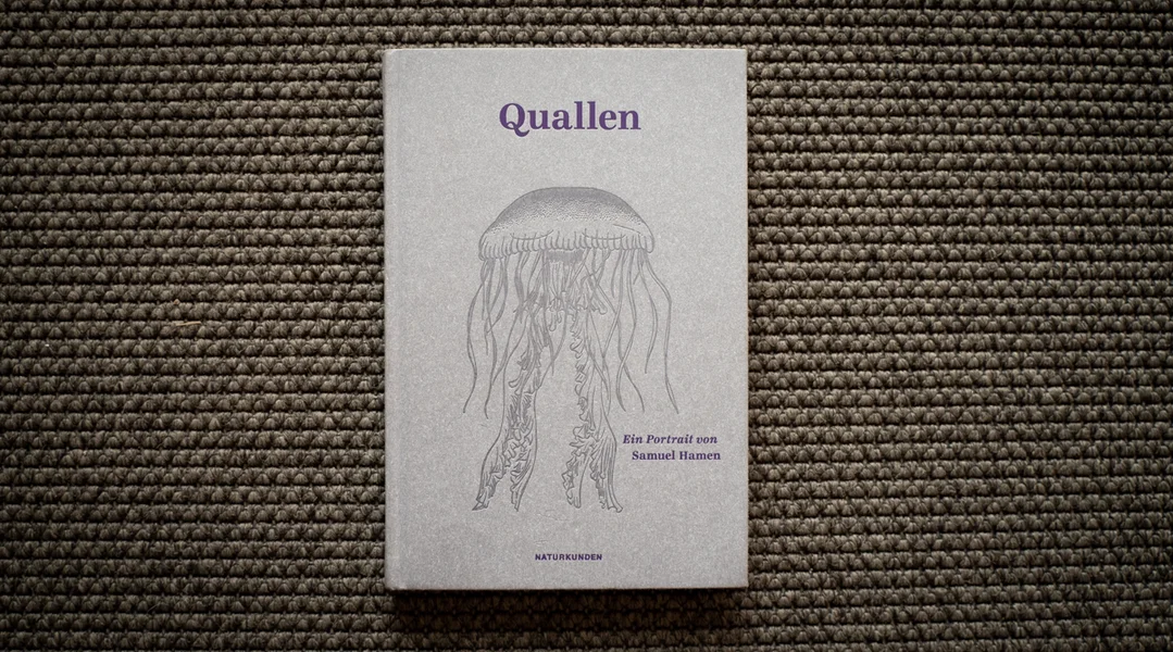 Samuel Hamen - Quallen